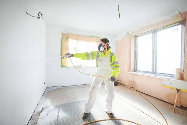 Trusted Winfield, MO Mold Removal Experts