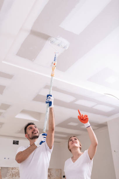 Best Basement Mold Removal  in Winfield, MO