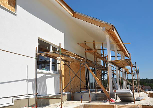 Mold Documentation for Insurance Claims in Winfield, MO